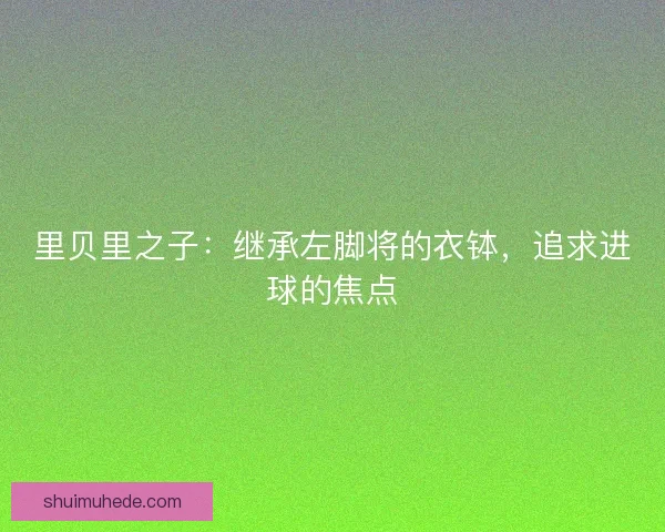 里贝里之子：继承左脚将的衣钵，追求进球的焦点