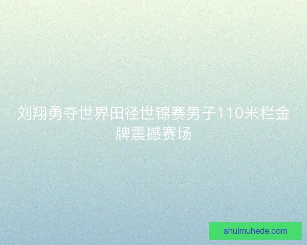 刘翔勇夺世界田径世锦赛男子110米栏金牌震撼赛场