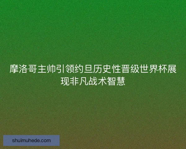 摩洛哥主帅引领约旦历史性晋级世界杯展现非凡战术智慧
