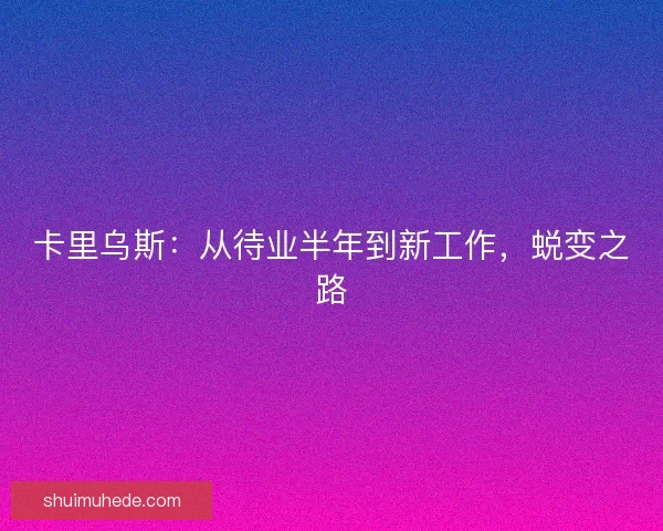 卡里乌斯：从待业半年到新工作，蜕变之路